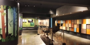 Museum Nasional Sejarah Alam Indonesia