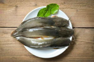 Dampak Negatif Ikan Lele bagi Kesehatan yang Perlu Diwaspadai