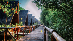5 Kegiatan yang Bisa Dilakukan di Kawasan Hutan Mangrove PIK