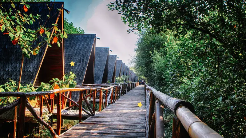 5 Kegiatan yang Bisa Dilakukan di Kawasan Hutan Mangrove PIK