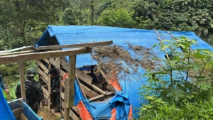 Tambang Emas Ilegal di Gunung Halimun Salak Digerebek, 31 Tenda Biru Dihancurkan