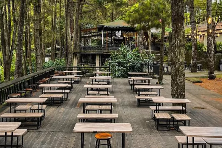 9 Kafe Bertema Alam di Bogor, Tempat Nongkrong Sejuk dengan Pemandangan Bikin Betah