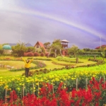 7 Destinasi Wisata Alam di Bogor yang Menyegarkan Pikiran dan Mata