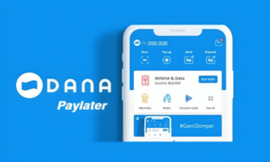 Syarat dan Cara Mengaktifkan Dana PayLater agar Cepat Disetujui