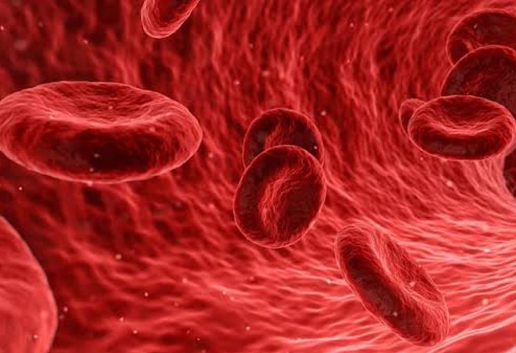 7 Cara Alami Meningkatkan Kadar Hemoglobin, Efektif Terhindar dari Anemia