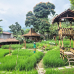 Butuh Healing? 7 Hidden Gem di Sentul yang Wajib Kamu Kunjungi