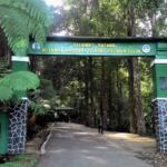 Menjelajah Taman Nasional Gunung Halimun Salak, Surga Hutan Tropis di Jawa Barat