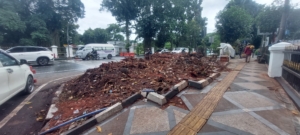 Pohon Karet Kebo Bersejarah Depan Balai Kota Bogor Ditebang