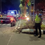 Mobil Pickup Angkut Ayam Potong Alami Laka Tunggal di Jalan Tegar Beriman