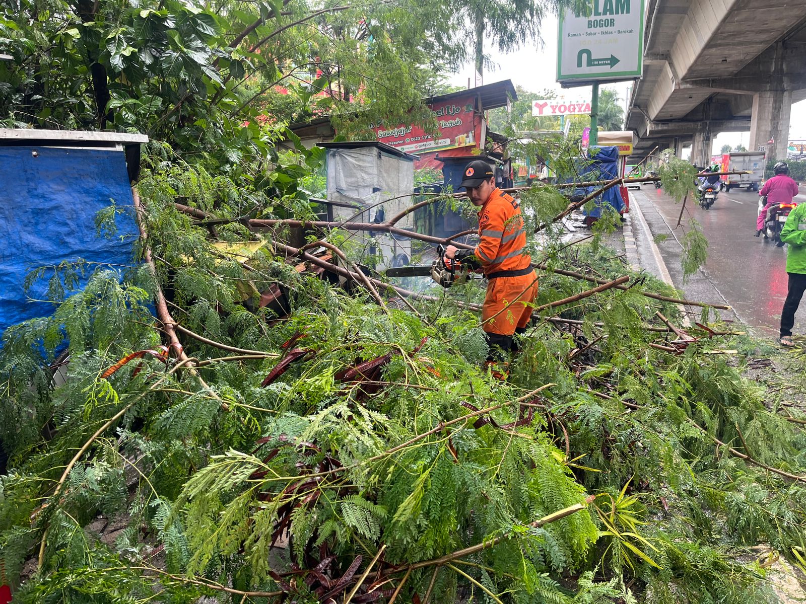 Dahan Pohon Patah Akibat Cuaca Buruk, BPBD Kota Bogor Lakukan Evakuasi Cepat