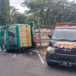 Truk Pengangkut Ayam Terguling di Jalan Tegar Beriman, Lalu Lintas Sempat Tersendat