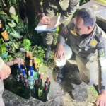 Razia Miras Ilegal di Bogor, Satpol PP Sita 33 Botol di Warung Klontong